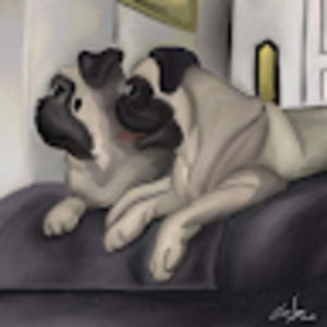 Meet your Posher, Beverly